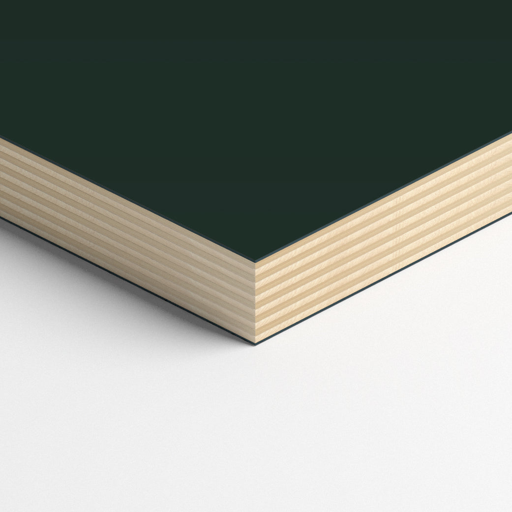 Linoleum Sample Conifer
