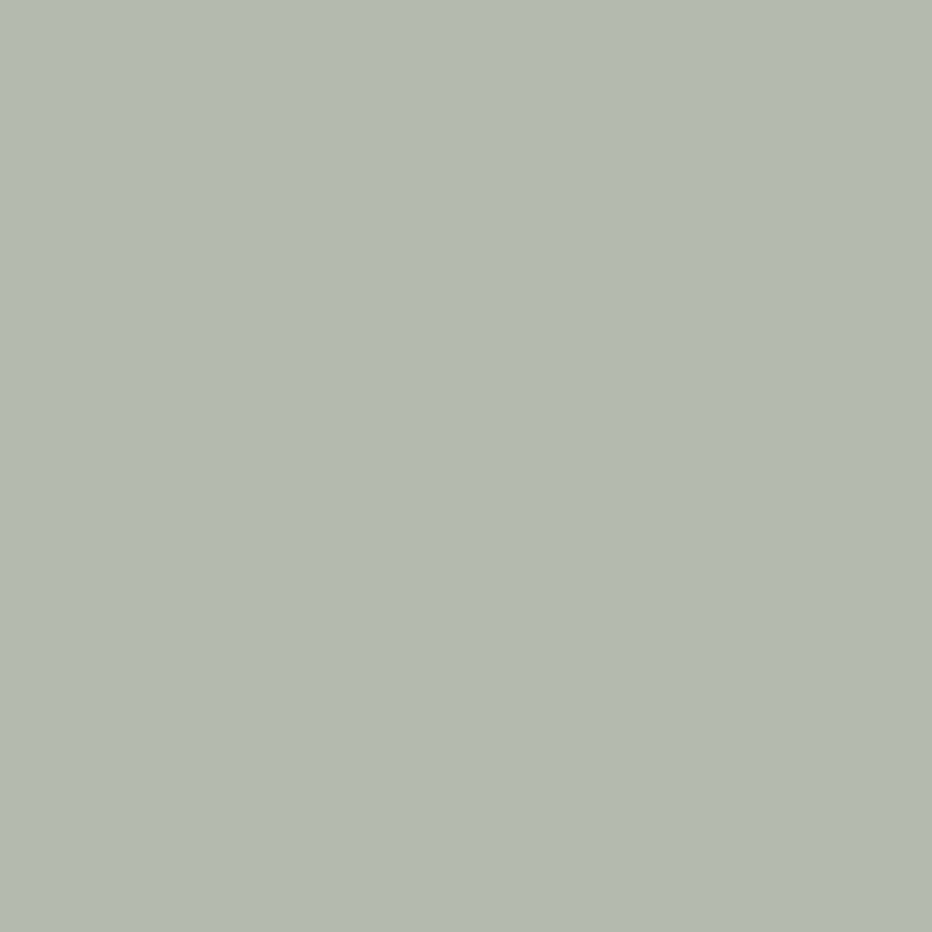 Laminate Sample Agave