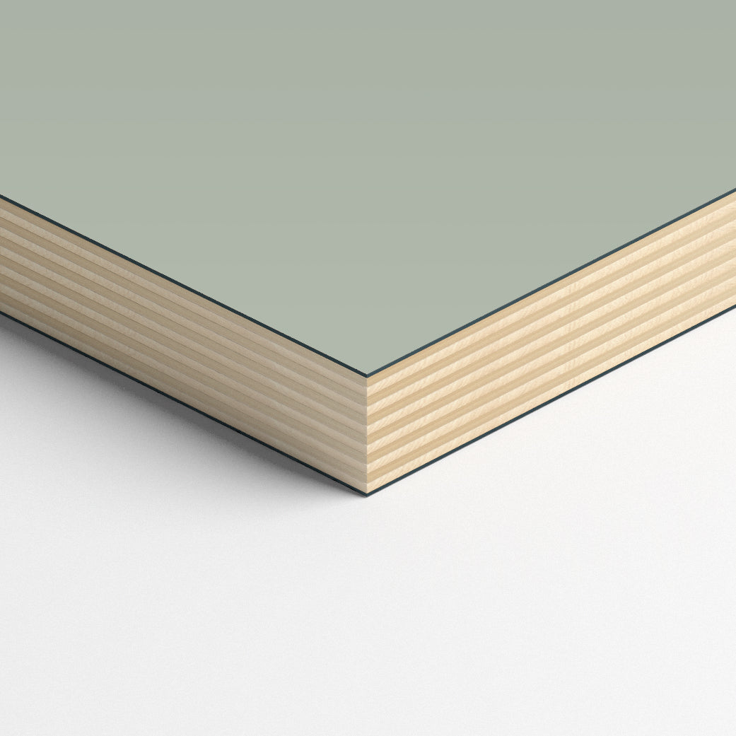 Laminate Sample Agave
