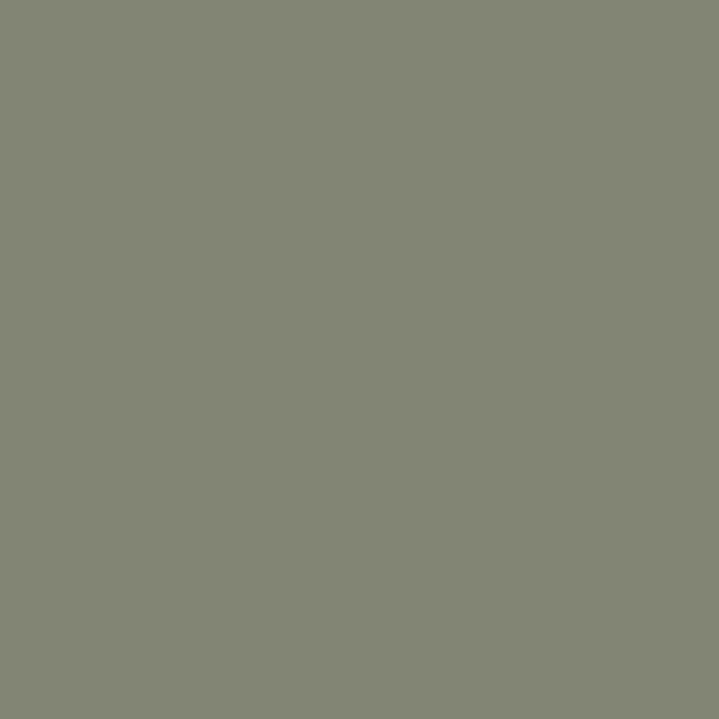 Linoleum Sample Olive